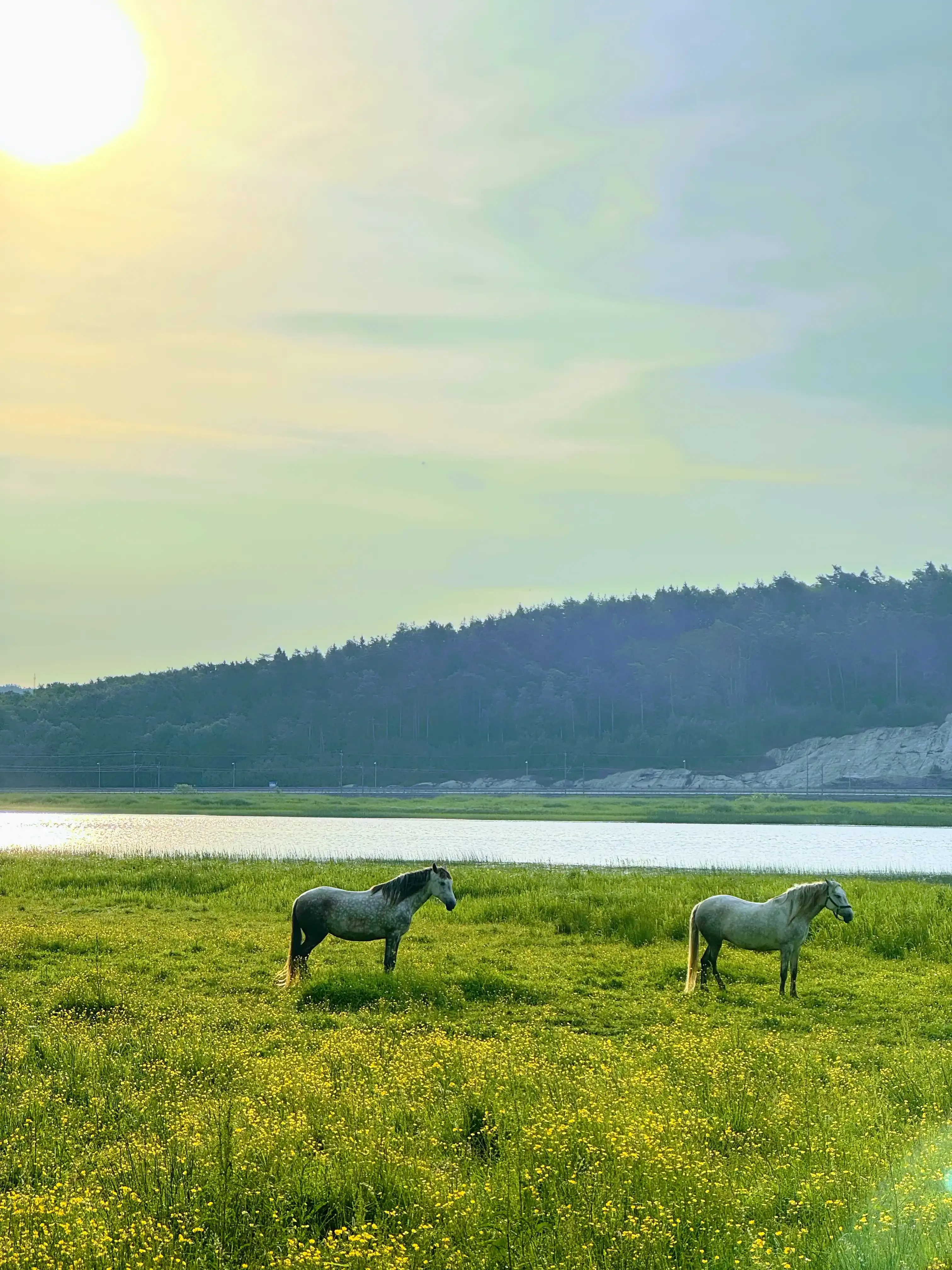 North of Gothenburg, Sweden