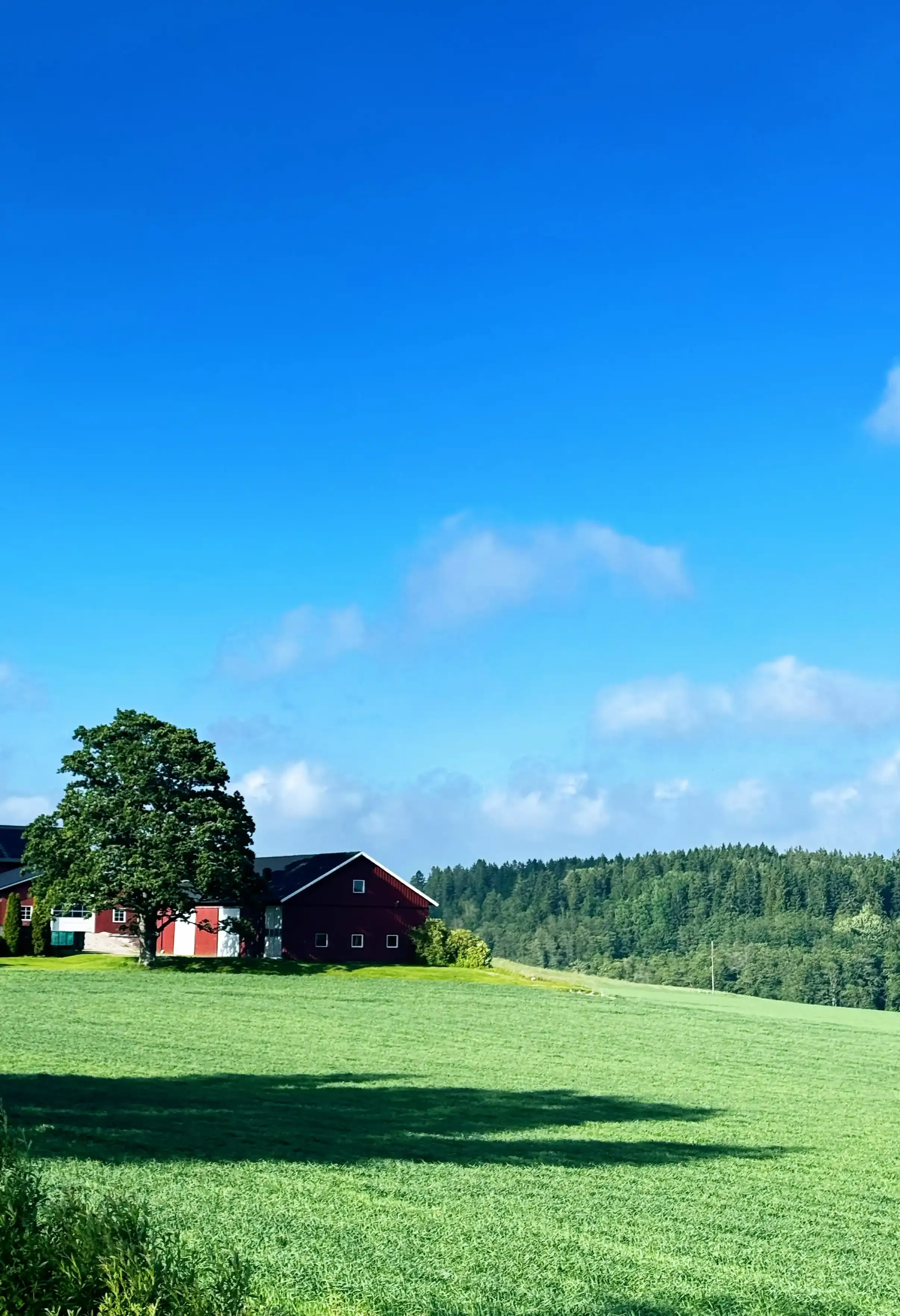 Near Skjeberg, Norway