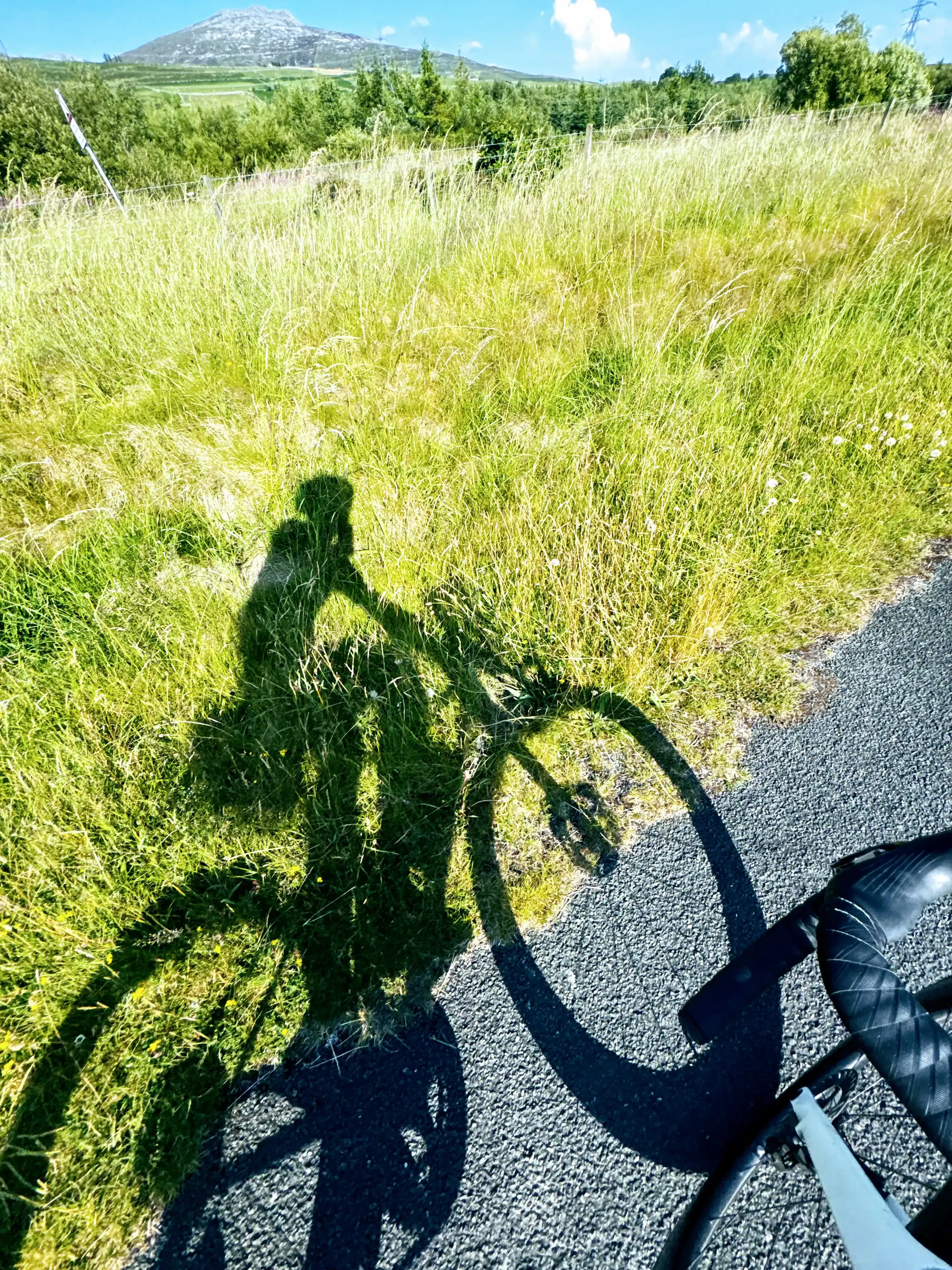 Even my shadow seems to be leaning out.