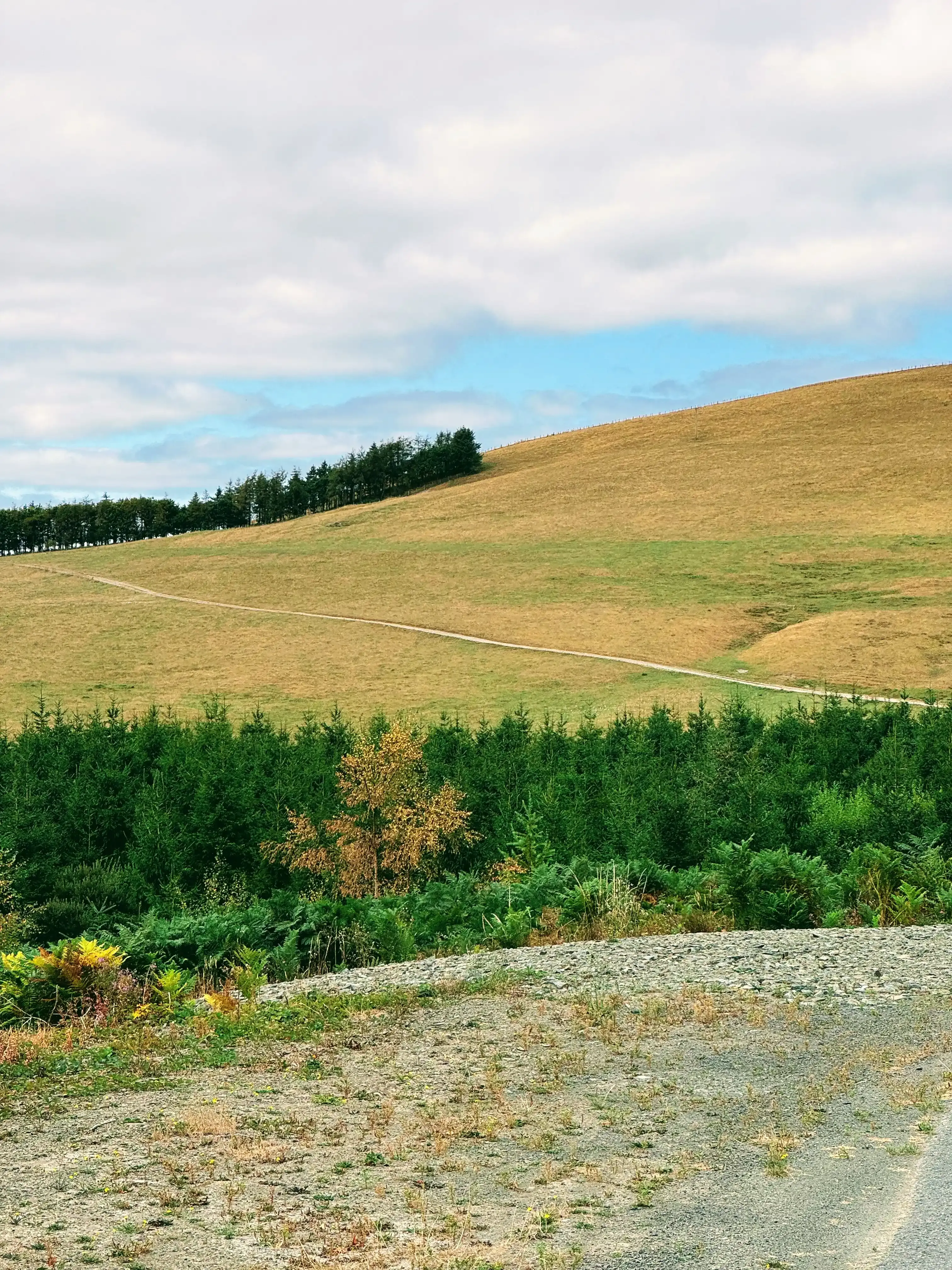 Typical Welsh scenery. No shade whatsoever on the hills. 😂