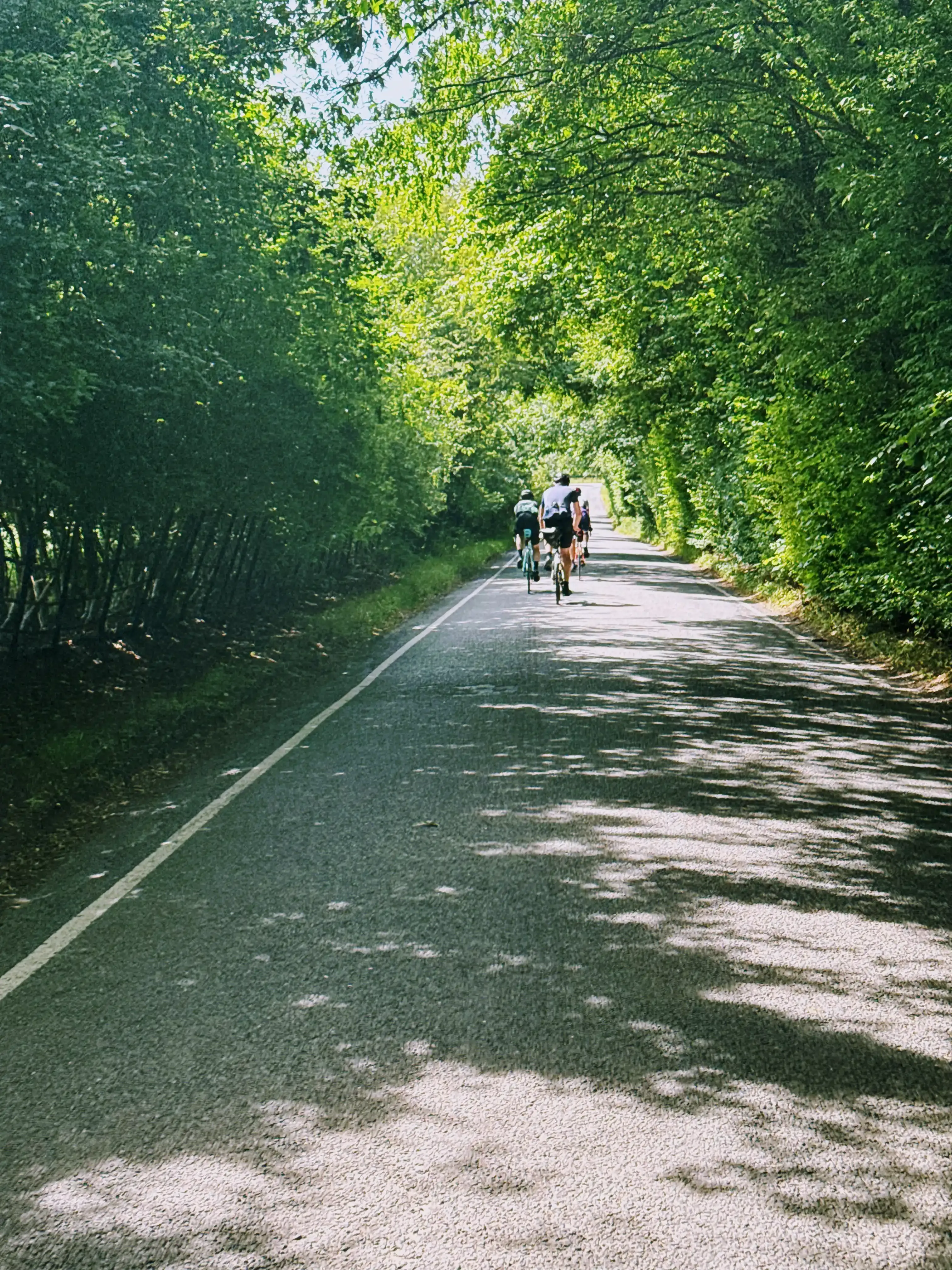 Lush lanes near Salisbury. Seeing the backs of fellow randonneurs is always a great source of positive motivation.